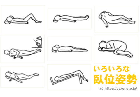 臥位姿勢、寝る姿勢の専門用語を紹介