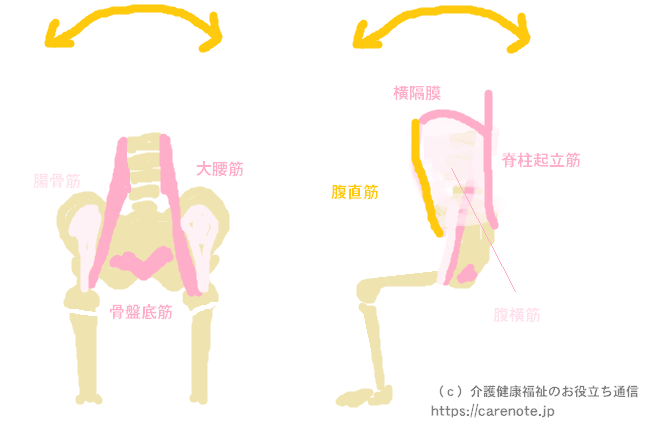 座位保持に必要な筋力やバランス能力